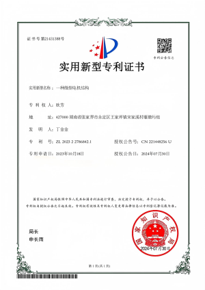 一種微型電機結(jié)構(gòu).png